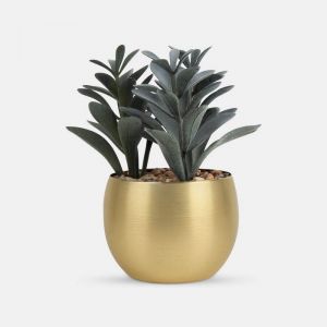 PLANTA DECORATIVA DAKAR personalizada